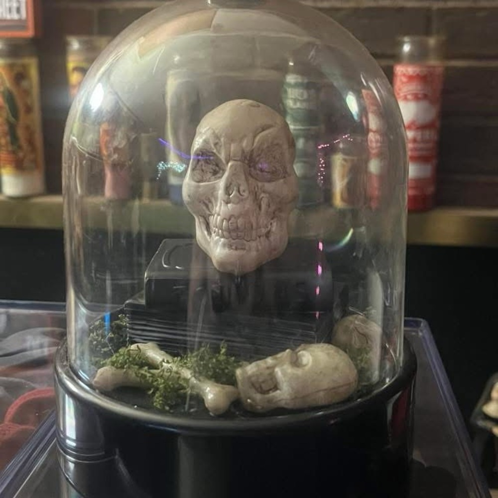 Skull Display Dome with Black Base